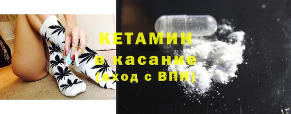 крисы Абаза