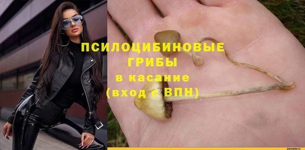 крисы Абаза