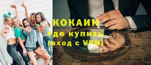 крисы Абаза