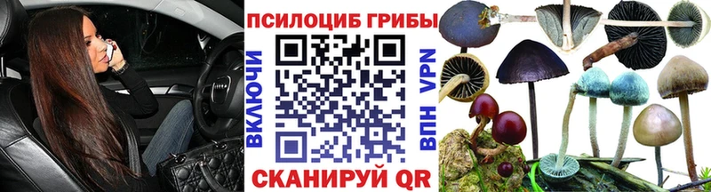 Галлюциногенные грибы Psilocybine cubensis  наркотики  Ишимбай 